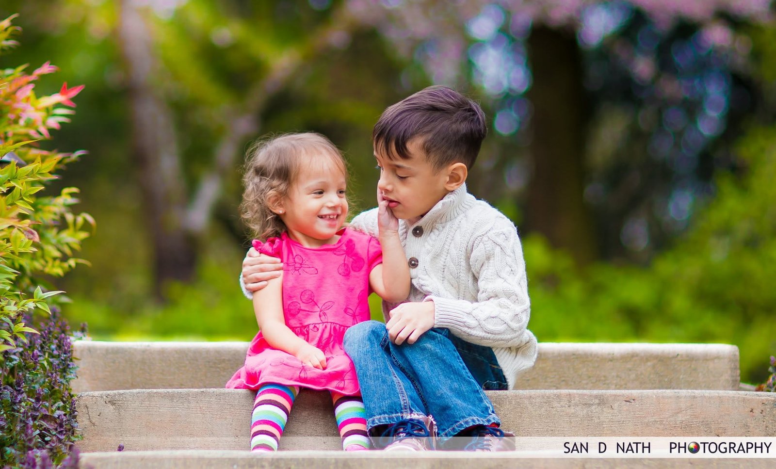 Family Portrait Photography